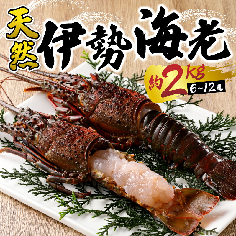 【ふるさと納税】 伊勢海老 冷凍 焼津 刺身用 焼物用 伊勢海老三昧 セットC 約2kg （6〜12匹） b100-035