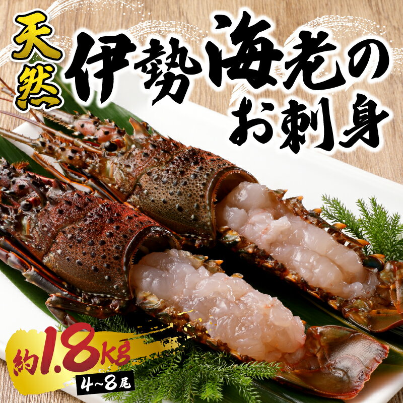 【ふるさと納税】 伊勢海老 お造り セット 約1.8kg お刺身用 加工済 殻付き 4～8匹 天然 冷凍 焼津 b10-073