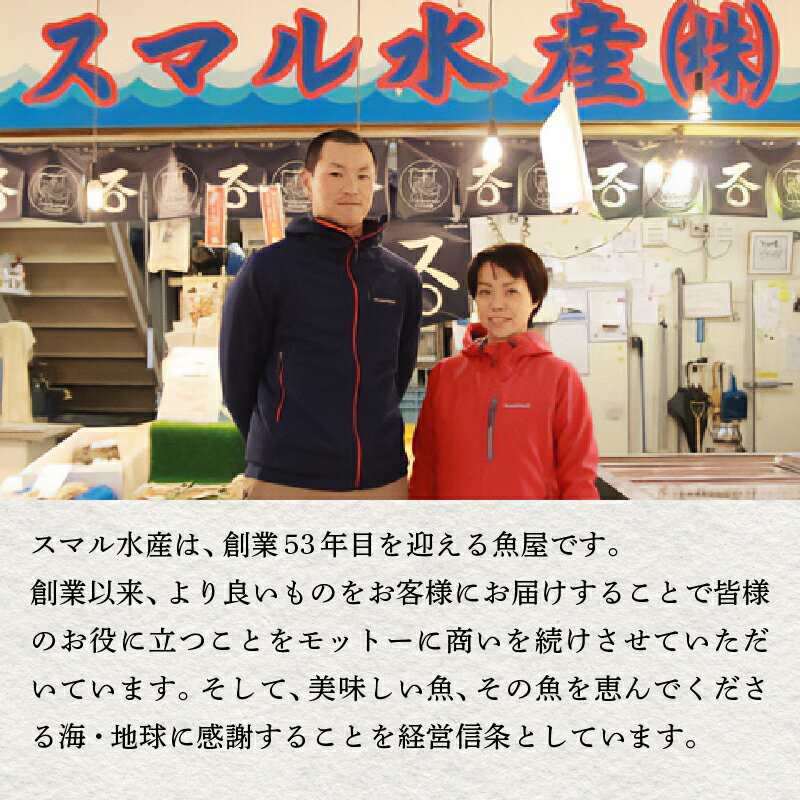 【ふるさと納税】 まぐろ 魚 冷凍 焼津 中トロ 天然 南まぐろ 約1.9kg セット a50-095