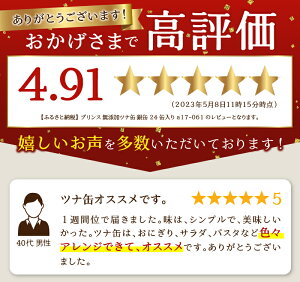 【ふるさと納税】 ツナ缶 缶詰 まぐろ 長持ち 備蓄 常温 保存 便利 フレーク 焼津 70g×24缶 プリンス 無添加ツナ缶 銀缶 24缶 入り a15-597