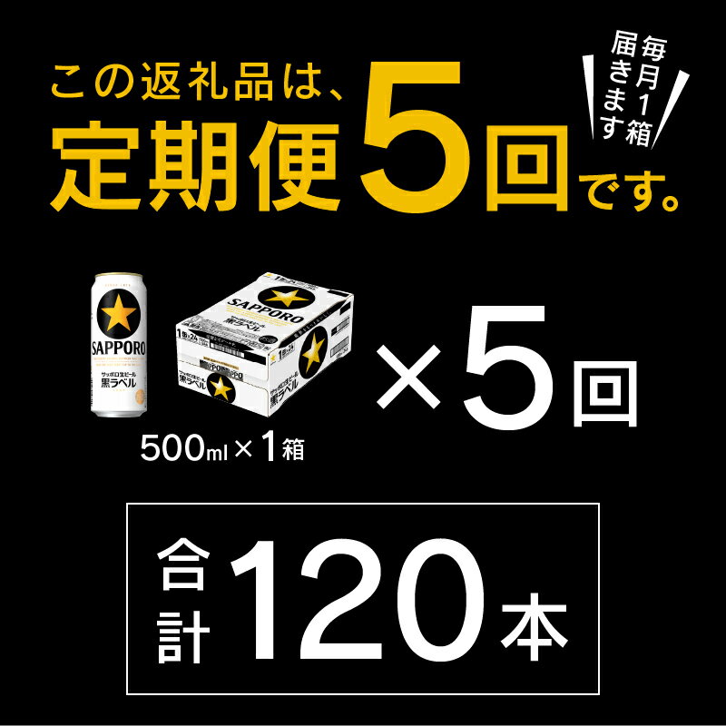 【ふるさと納税】 定期便 ビール サッポロ 黒ラベル 焼津 【定期便 5回】 サッポロビール 黒ラベル 500ml×24本(1箱) T0037-2005