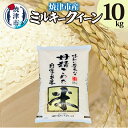 【ふるさと納税】 米 お米 精米 焼津 ミルキークイーン 10kg 静岡県 焼津市産 新鮮 a20-335