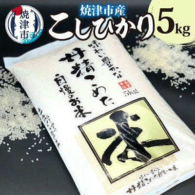 楽天ふるさと納税　【ふるさと納税】 米 お米 こしひかり 新鮮 精米 焼津 5kg 静岡県 焼津市産 a10-737