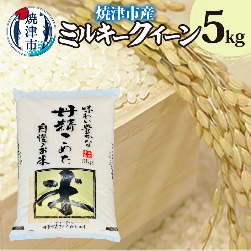 楽天ふるさと納税　【ふるさと納税】 米 お米 ミルキークイーン 新鮮 精米 5kg 静岡県 焼津市産 a10-738