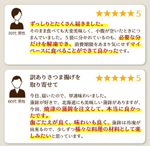 【ふるさと納税】訳あり 練物 冷蔵 焼津産 さつま揚げ 5袋 詰め合わせ お楽しみ 合計 2.2kg以上 a10-546