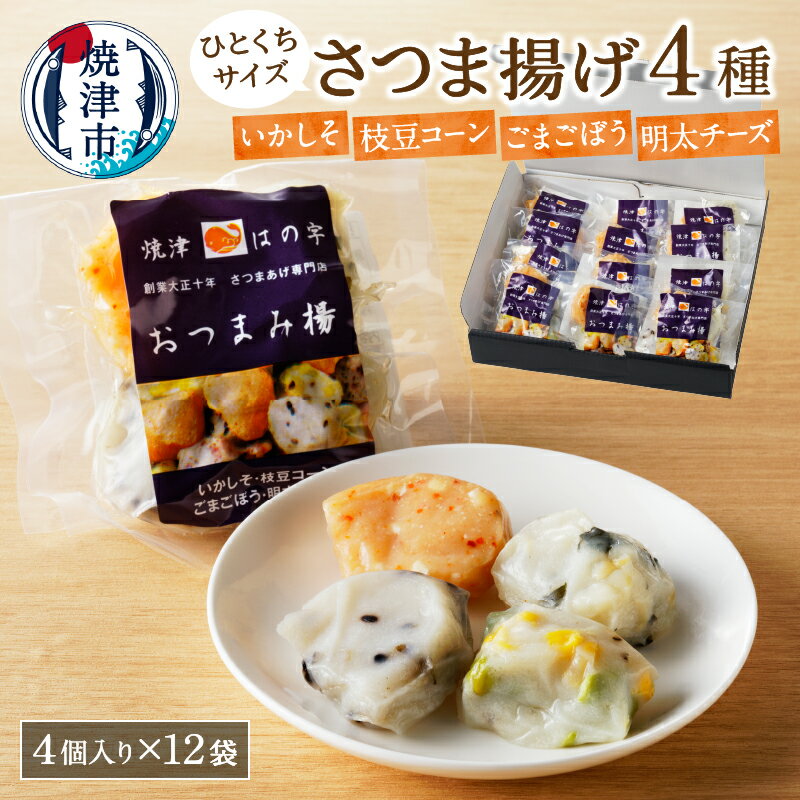 練物 魚 焼津 ひとくち セット 4種 詰合せ 正規品 個包装 12P 福袋