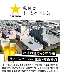 【ふるさと納税】 7/11より順次出荷 数量限定 ビール ファイブスター 焼津 サッポロ 350ml×24缶 a16-076 画像2