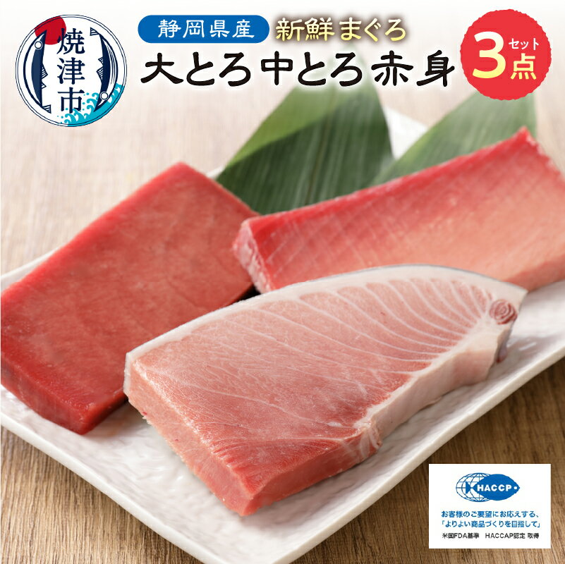 まぐろ 大トロ 中トロ 鮪 赤身 寿司 海鮮丼 刺身 セット 計650g S7 魚 焼津