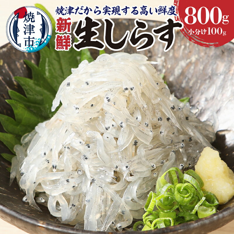 ふるさと納税 22 12最新 魚介類 生 ちりめん 生 しらす 人気ランキング ふるさと納税 細かすぎる ランキング