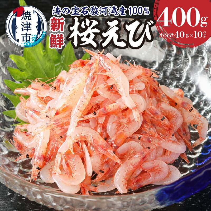 桜えび 生 刺身 魚 冷凍 天然 焼津 約40g×10パック 静岡県漁連