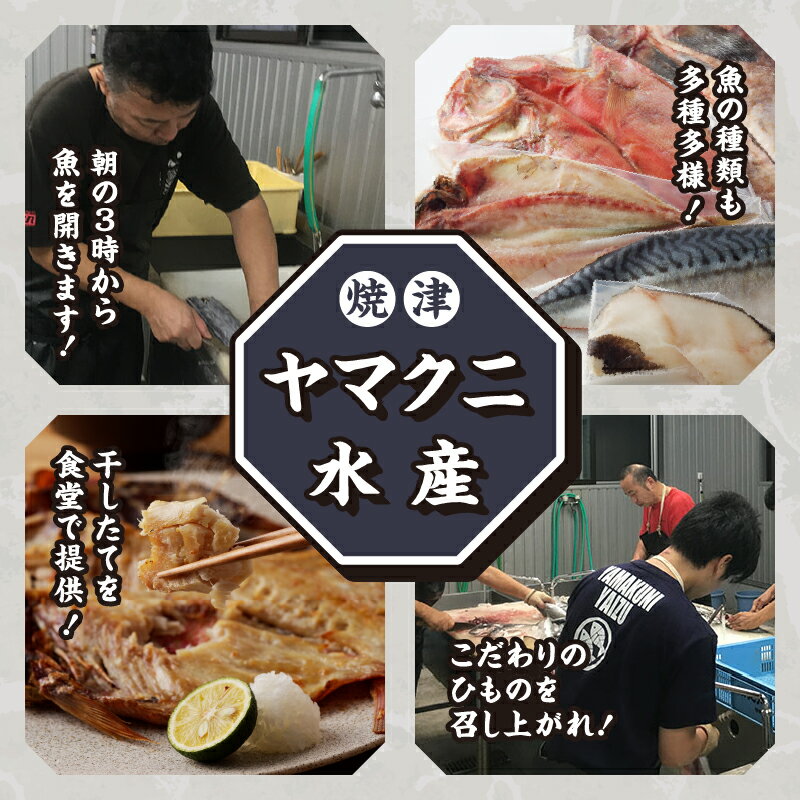 【ふるさと納税】 干物 魚 冷凍 きんき のどぐろ 銀だら 金目鯛 焼津 おさかな4種 ひもの セット 計9枚 a21-009