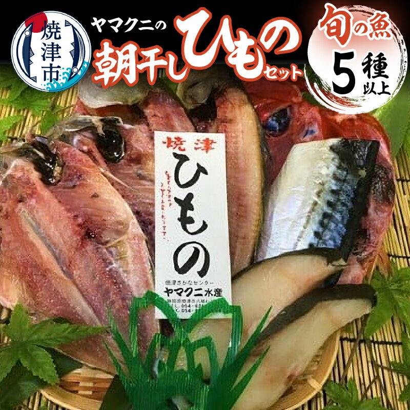 干物 朝干し セット 5種以上 おまかせ 旬 天然 魚 塩糀漬け 無添加 冷蔵 焼津 干したて