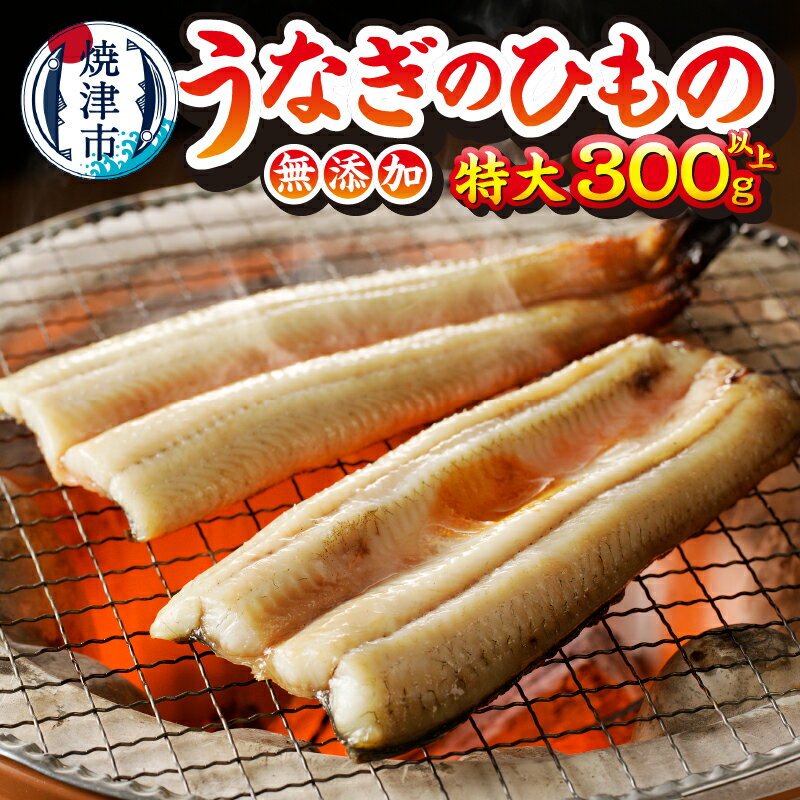 【ふるさと納税】 うなぎ 干物 ひもの 魚 冷凍 焼津 特大