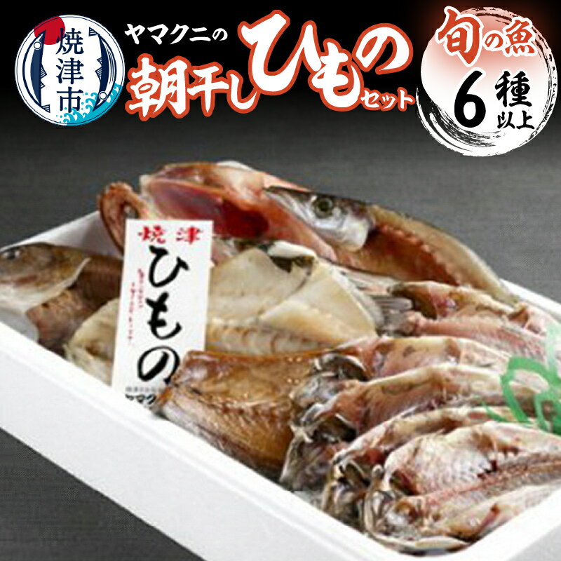 干物 【ふるさと納税】 干物 朝干し セット 6種以上 おまかせ 旬 天然 魚 塩糀漬け 無添加 冷蔵 焼津 干したて a15-383