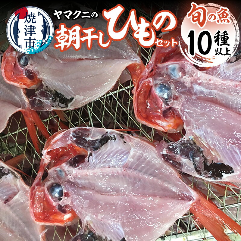 30位! 口コミ数「0件」評価「0」 干物 朝干し セット 10種以上 おまかせ 旬 天然 魚 塩糀漬け 無添加 冷蔵 焼津 干したて a30-176