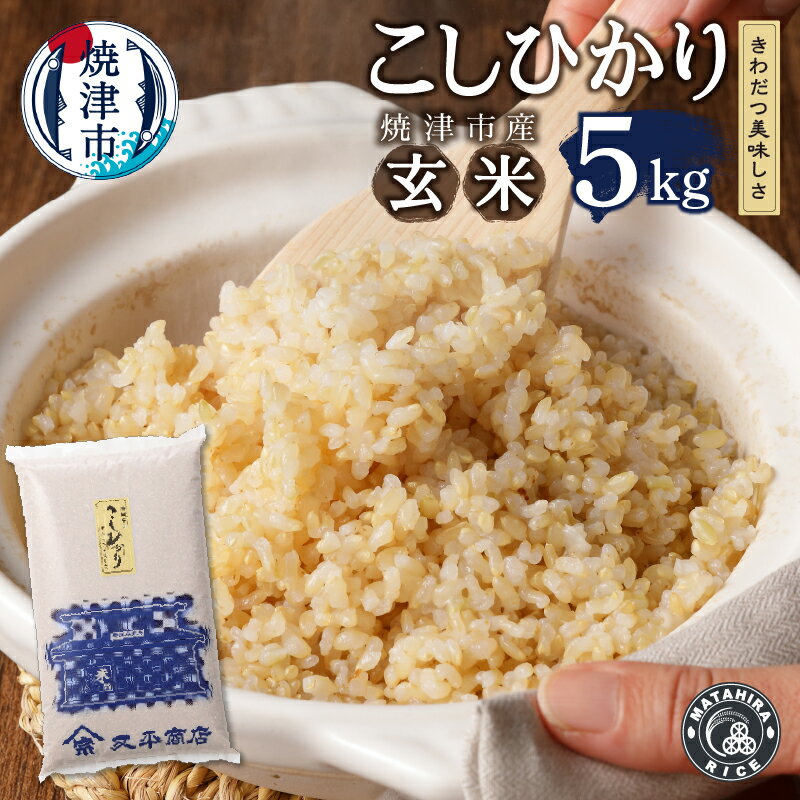 【ふるさと納税】 令和5年産新米 米 お米 ごはん こしひかり 焼津 玄米 5kg コシヒカリ a10-596のサムネイル