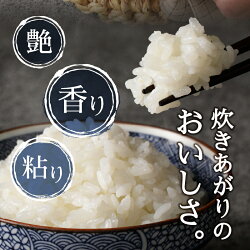 【ふるさと納税】 定期便 新米 米 お米 白米 焼津 10kg×3回 コシヒカリ【定期便 3回】 計30kg a55-002 画像1