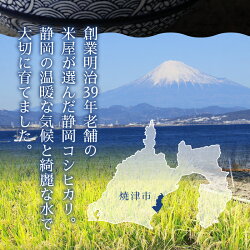 【ふるさと納税】 定期便 新米 米 お米 白米 焼津 10kg×3回 コシヒカリ【定期便 3回】 計30kg a55-002 画像2