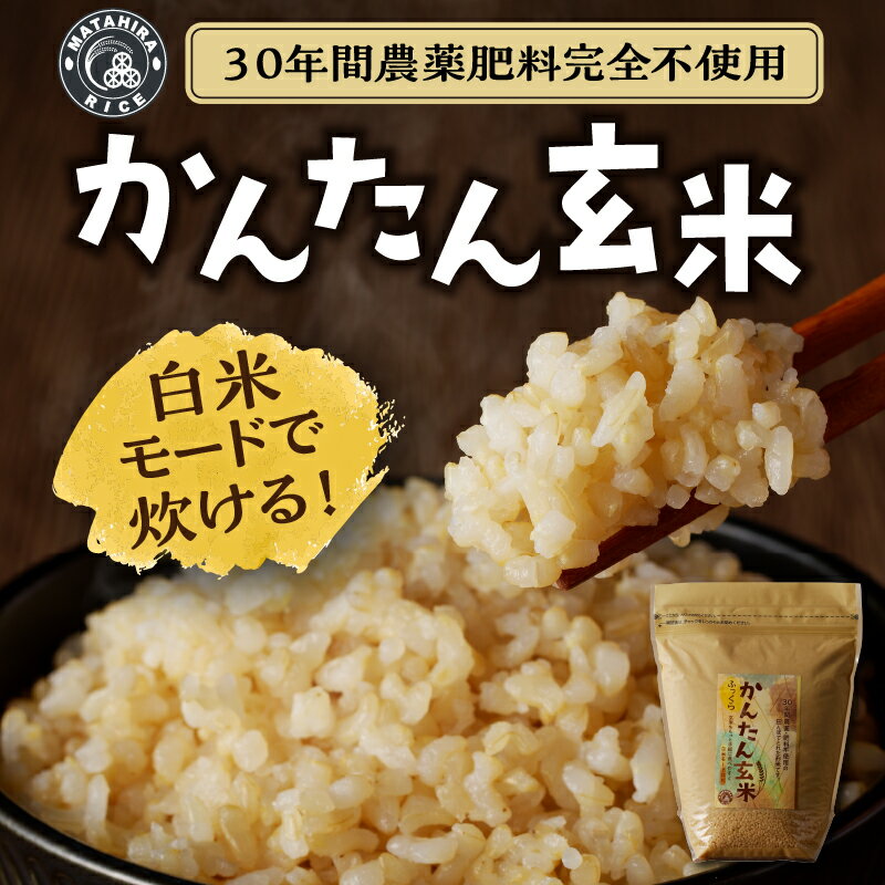 【ふるさと納税】 定期便 12回 玄米 お米 ごはん 無農薬 肥料不使用 2kg×12回 かんたん玄米 焼津 b21-001