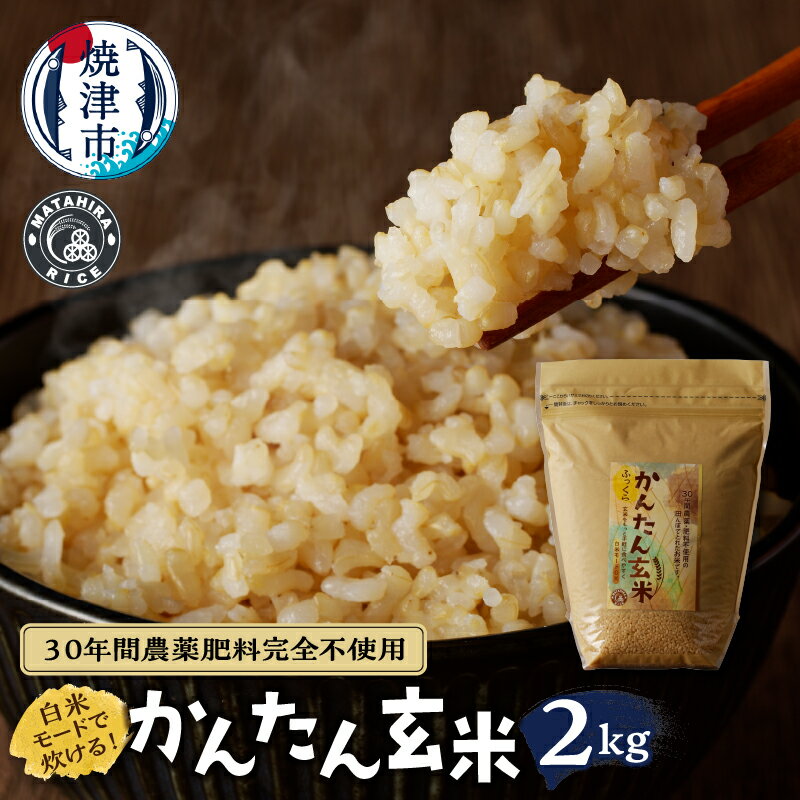 【ふるさと納税】 玄米 お米 ごはん 無農薬 肥料不使用 2