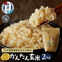 【ふるさと納税】 玄米 お米 ごはん 無農薬 肥料不使用 2kg かんたん玄米 焼津 a18-051
