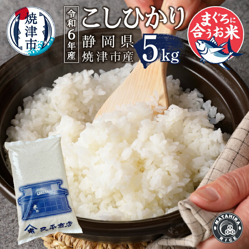 令和6年産 数量限定 米 白米 コシヒカリ 5kg 老舗米屋 マグロに合う ごはん 焼津