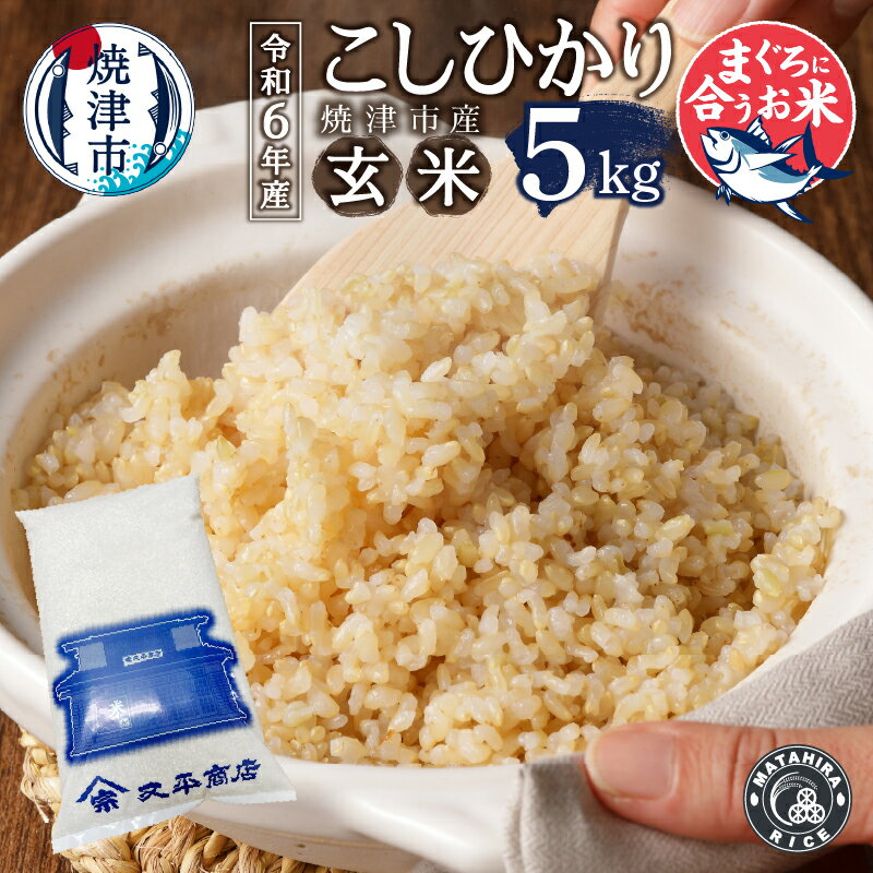 令和6年産 数量限定 米 玄米 コシヒカリ 5kg 老舗米屋 マグロに合う ごはん 焼津