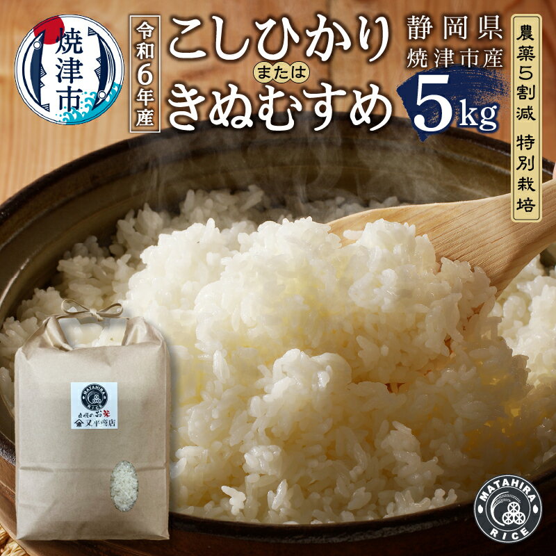 令和6年産 数量限定 米 白米 コシヒカリ/きぬむすめ 5kg 農薬5割減 特別栽培 安心 安全 こだわり 減農薬 ごはん 焼津