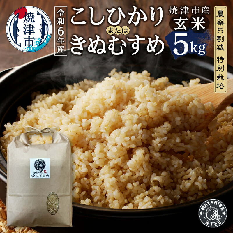 令和6年産 数量限定 米 玄米 コシヒカリ/きぬむすめ 5kg 農薬5割減 特別栽培 安心 安全 こだわり 減農薬 ごはん 焼津