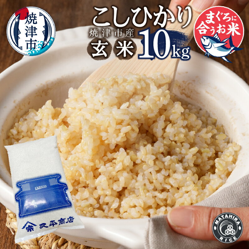 【ふるさと納税】 数量限定 米 玄米 コシヒカリ 10kg (5kg×2袋) 老舗米屋 マグロに合う ごはん 焼津 a38-009