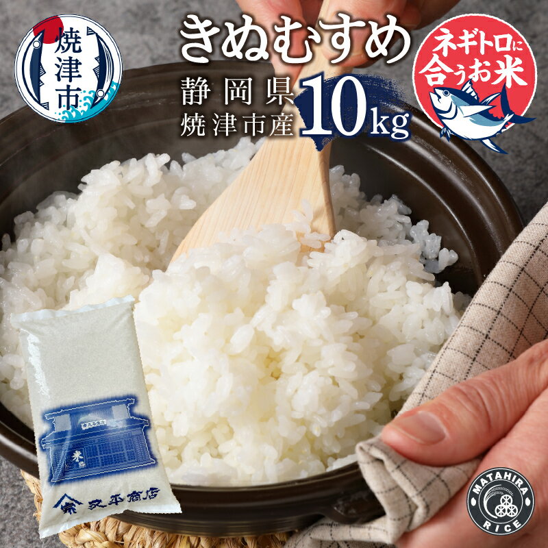 【ふるさと納税】 米 白米 きぬむすめ 10kg (5kg×2袋) 老舗米屋 ネギトロに合う ごはん 焼津 a32-033