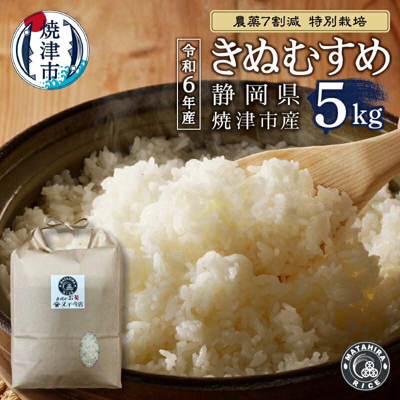 令和6年産 数量限定 米 白米 きぬむすめ 5kg 農薬7割減 特別栽培 安心 安全 こだわり 減農薬 ごはん 焼津