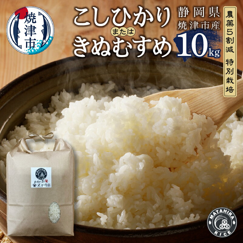 【ふるさと納税】 米 白米 コシヒカリ/きぬむすめ 10kg (5kg×2袋) 農薬5割減 特別栽培 安心 安全 こだわり 減農薬 ごはん 焼津 a36-016