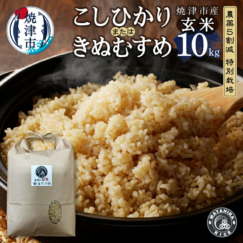 【ふるさと納税】 米 玄米 コシヒカリ きぬむすめ 10kg (5kg×2袋) 農薬5割減 特別栽培 安心 安全 こだわり 減農薬 ごはん 焼津 a36-017
