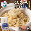 38位! 口コミ数「0件」評価「0」 米 お米 こしひかり 玄米 焼津 コシヒカリ 5kg×6袋(計30kg) a55-003