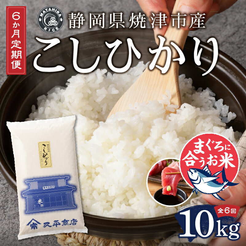 【ふるさと納税】定期便 6回 白米 こしひかり 5kg×2袋 焼津 精米 マグロ ネギトロ に合う 6ヶ月連続お届け b10-054