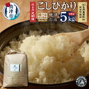 【ふるさと納税】 定期便 6回 米 コシヒカリ 分づき米 3分づき 5分づき 7分づき 5kg×6回 30年間 無農薬 無肥料 焼津 静岡 【選べる分づき米】 b12-033