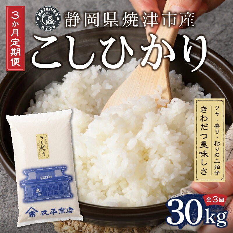 【ふるさと納税】 定期便 米 お米 定期便 こしひかり 30kg 焼津 白米 【定期便3回】 b15-025