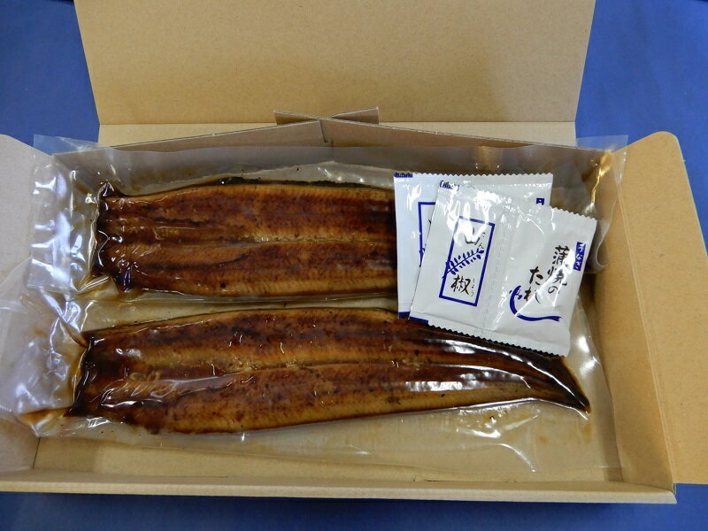 【ふるさと納税】 うなぎ 長蒲焼き 蒲焼 魚 焼津 養殖 約120g×2尾 たれ・山椒付き a19-013