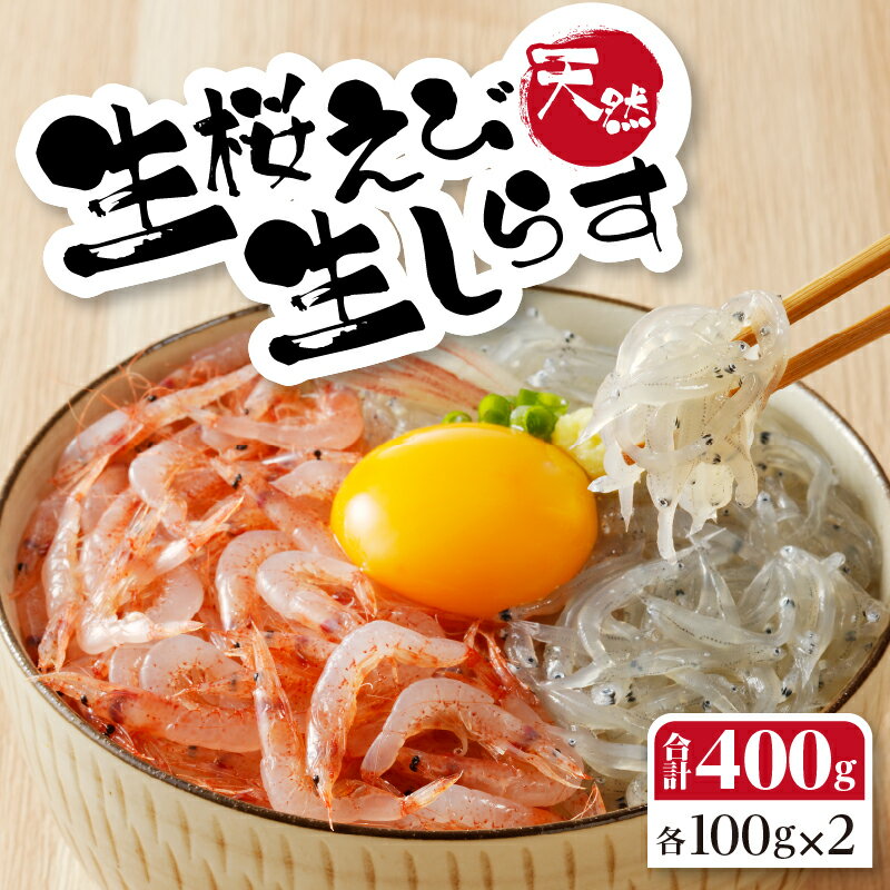 【ふるさと納税】 生しらす 生桜えび 各100g×2 冷凍 急速凍結 刺身 駿河湾産 焼津 詰合せ セット a10-906