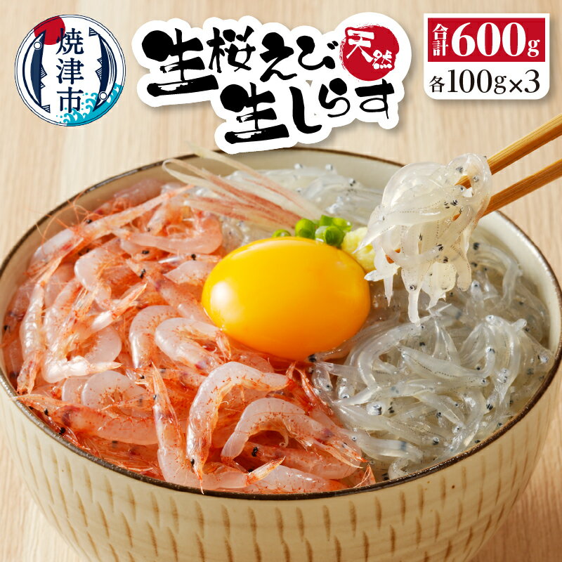 ڤդ뤵Ǽǡ 餹  100g3  ® ɿ ٲѻ  ͹礻 å a14-038