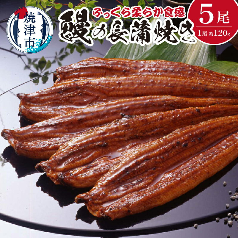 【ふるさと納税】 鰻 うなぎ 長蒲焼き 長焼き 蒲焼き 詰合せ 焼津 魚 冷凍 養殖 約120g×5尾 たれ・山椒付 a50-085