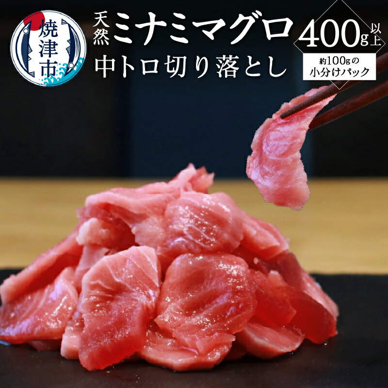 【ふるさと納税】 まぐろ 天然 南鮪 中トロ 400g以上 