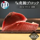 【ふるさと納税】 まぐろ 天然 南鮪 大トロ 中トロ 赤身 ブロック 約800g 皮無し 魚 焼津 a25-045(4)