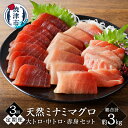 製品仕様 名称 【定期便3回】キボシ水産 天然 南鮪 大トロ 中トロ 赤身食べ比べ [約1kg×3回]【定期便】(b10-066) お礼品内容 天然南鮪（皮無し）大トロ切り落とし：約200g、中トロ柵：約400g、赤身柵：約400g 計約1kg ※以上の内容を3ヵ月連続でお届けします。 期限表示 [賞味期限]冷凍で賞味期限一週間（消費期限二週間） 産地 【産地】焼津市内【製造】焼津市内 天然・養殖 天然：マグロ アレルギー 28品目中：なし 原材料 ミナミマグロ 発送方法 冷凍 お礼品説明 通称「赤いダイヤ」と呼ばれる南鮪は厳格な漁獲制限の元流通する希少なマグロです。その味はクロマグロをも凌駕するといわれ、スーパーなどに並ぶキハダマグロやバチマグロとは一線を画します。その天然南鮪の中トロ、赤身を柵を一柵ずつ個包装の真空パックにてお届けします。そして切り分けの難しい大トロ部位は切り分けてのお届けだからとっても簡単食べやすい！もちろん柵も血合いや皮を完全に取り除いていますので、あとは切り分けるだけ。お刺身、炙り、海鮮丼、漬けにユッケと様々な調理法でお楽しみいただけます。是非ご家庭で本物の味をご賞味ください。 注意事項・その他 ※ご寄附をいただいた翌月より初回発送となります。 ※解凍後はお早めにお召し上がりください。 製造者 提供：株式会社キボシ水産（焼津市西小川8丁目2番地の1） ・ふるさと納税よくある質問はこちら ・寄附申込みのキャンセル、返礼品の変更・返品はできません。あらかじめご了承ください。&nbsp;