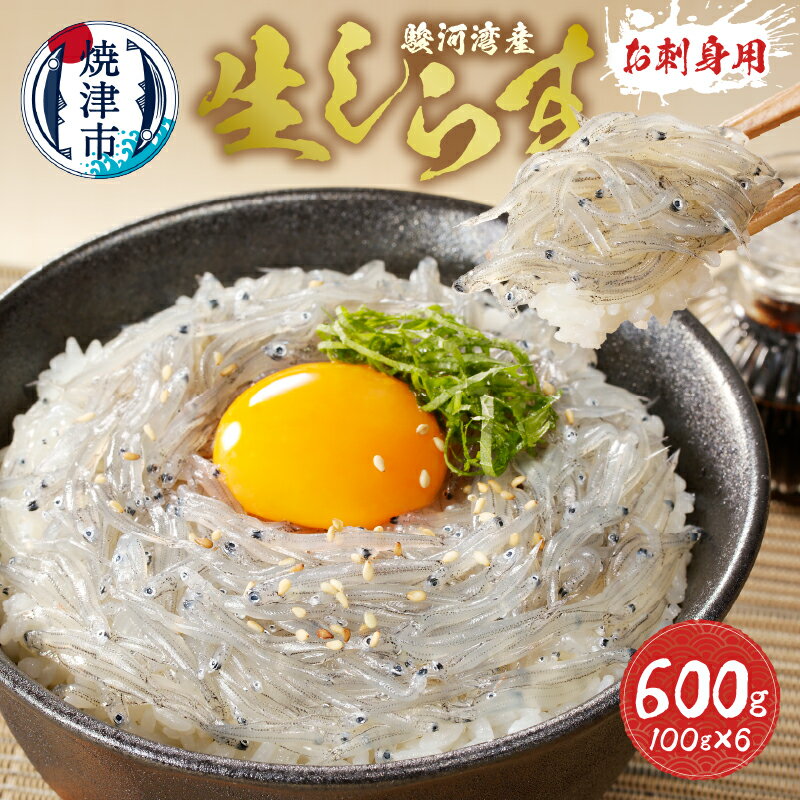 ڤդ뤵Ǽǡ 餹 餹 路յ ɿ    ɿ ٲѻ 100g6ѥå a10-653