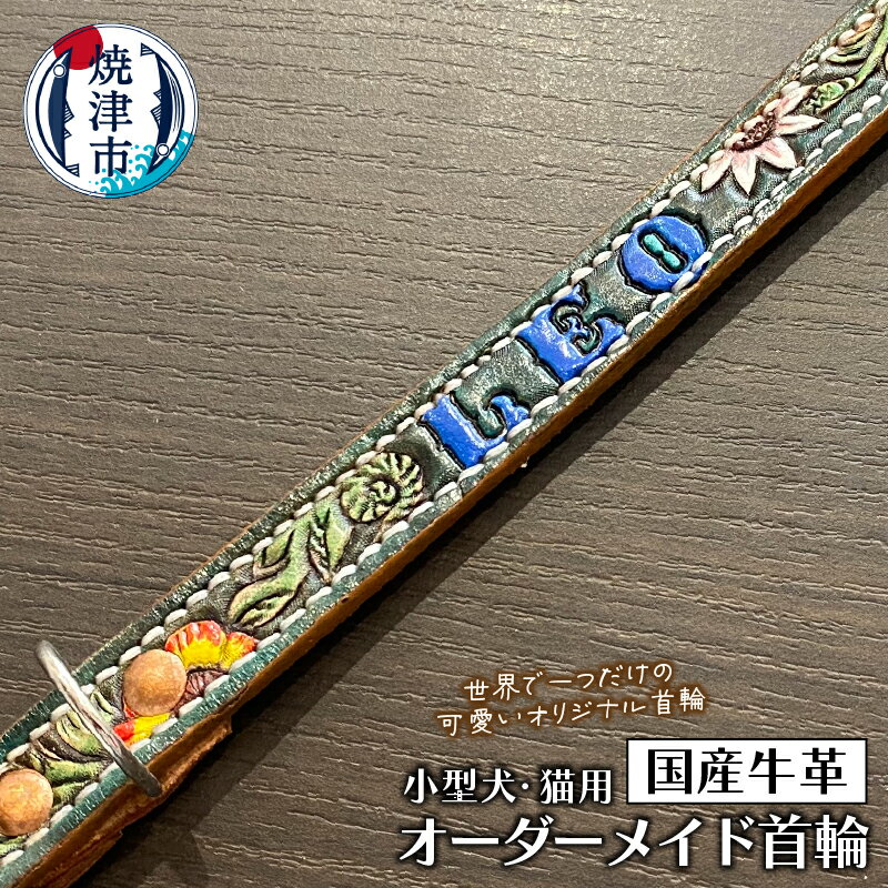 ڤդ뤵Ǽǡ    ǭ ꥸʥ ̥ ե륪 ʥ     ٻλ a51-009
