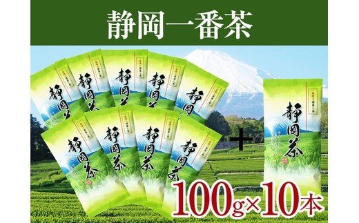 お茶 緑茶 一番茶 ギフト セット 焼津 100g×10本 静岡 一番茶 10本セット