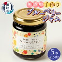 【ふるさと納税】 ジャム ブルーベリー 焼津 無添加 こだわり 手作り ブルーベリージャム 5本 セット a10-659