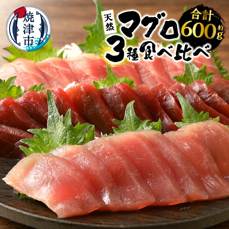 まぐろ 冷凍 魚 焼津 赤身 3種 天然 南鮪 鉢鮪 黄肌鮪 食べ比べセット 計約600g 刺身に 寿司に 丼に